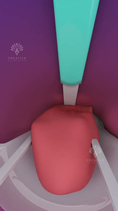 Explaining piles removal process 3d #short #ytshorts  - creativelearning3d