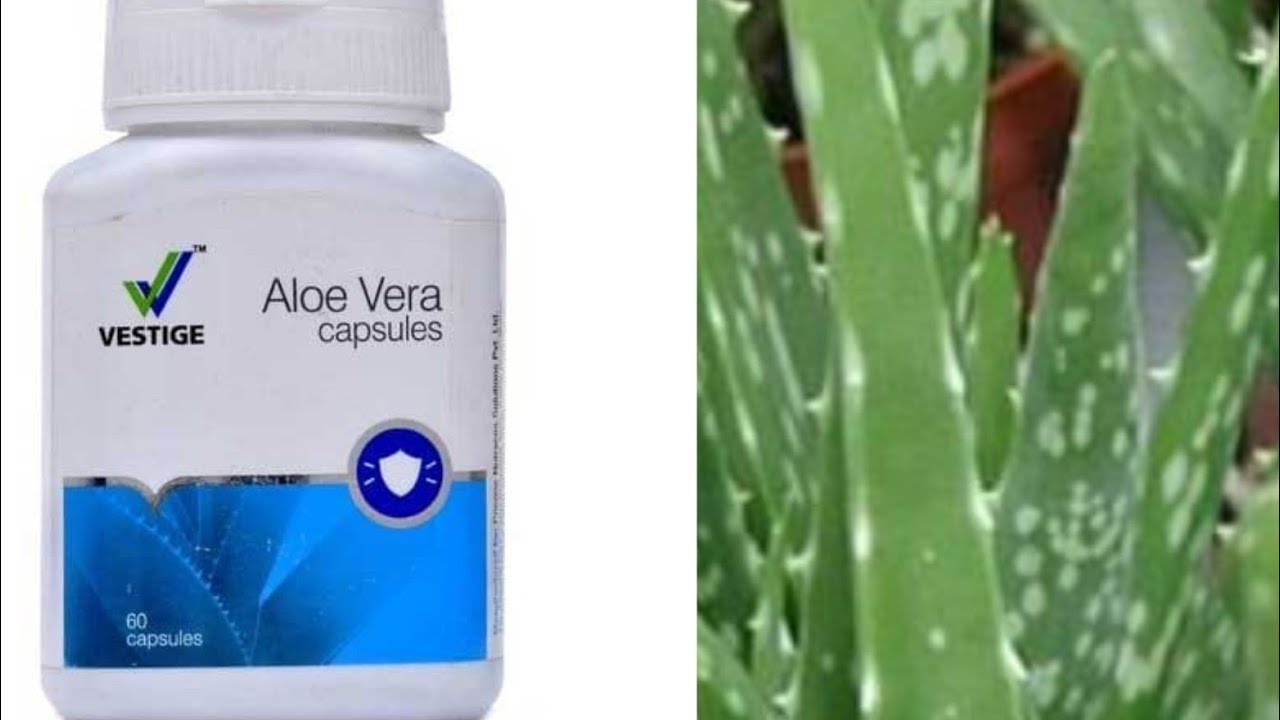 Vestige Aloe Vera Benefits Dosage Precautions YouTube