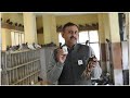 Pigeon pox treatment at hospital  pox treatment  dr nagender yadav