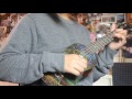 The show ukulele cover