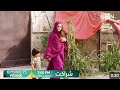 Shrakat Episode 72 Promo | Green Tv Entertainment| Summiya Buksh | Daniyal Afzal | Next Promo |