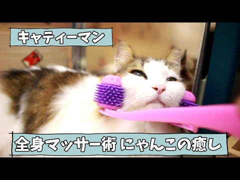 キャティーマン「全身マッサージ術 にゃんこの癒やし」を使ってみた【猫】