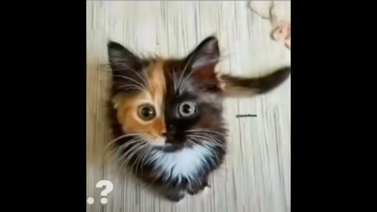 бригаду?... - YouTube