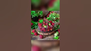 سوره الكهف وترا الشمس إذ طلعت♥️♥️♥️🌹🌹🌹 الشيخ محمود خليل الحصري