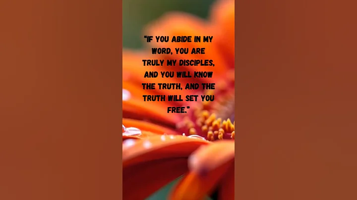 John 8:31-32 When we walk in the Word, we walk in freedom. #bibleverse #faith #jesus