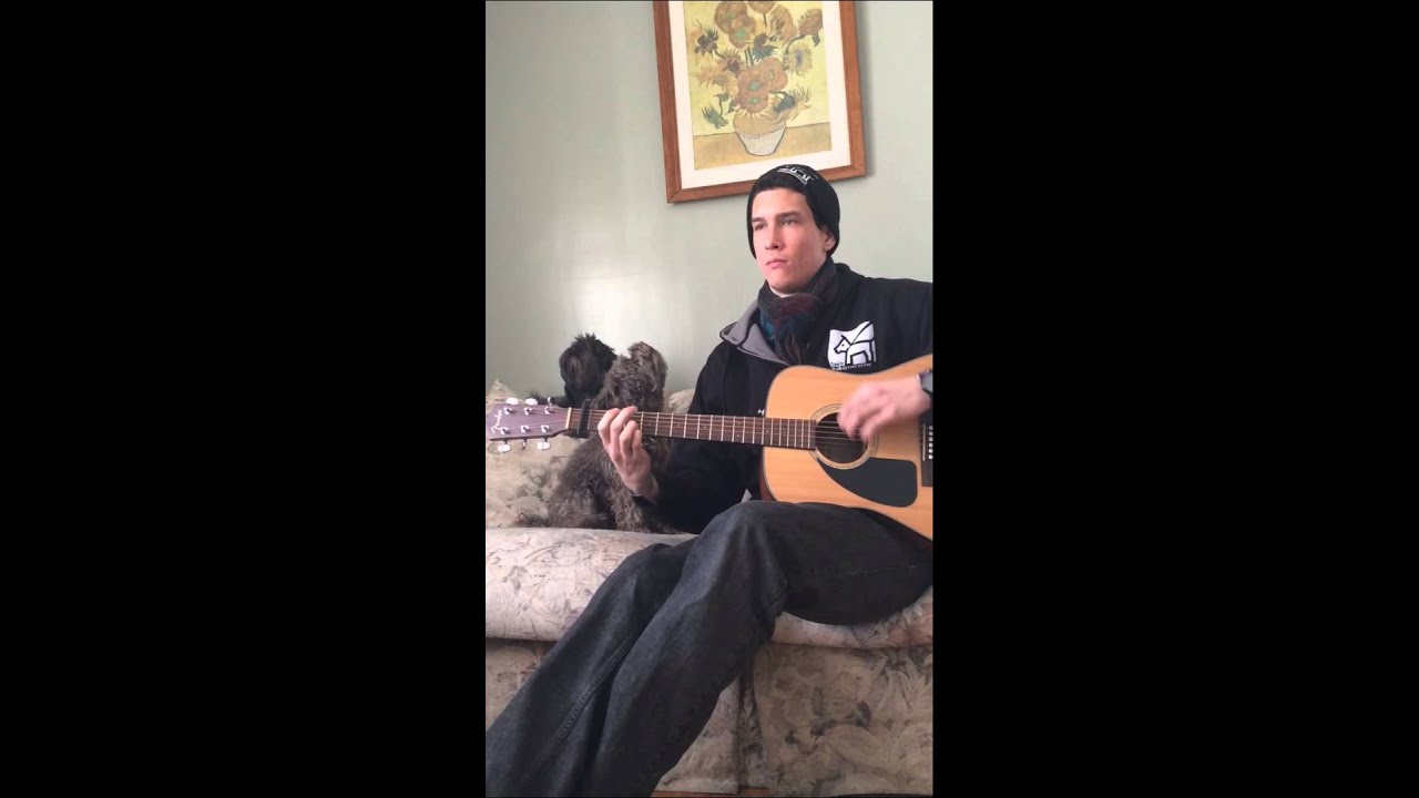 puppy paradise Bark Up Singers for Dan's Dog Walking and Pet Sitting
