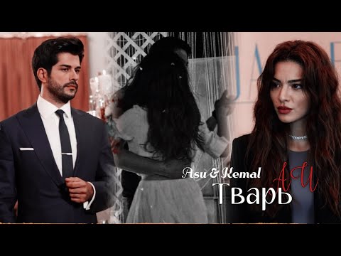 Kara Sevda 3 || Asu & Kemal