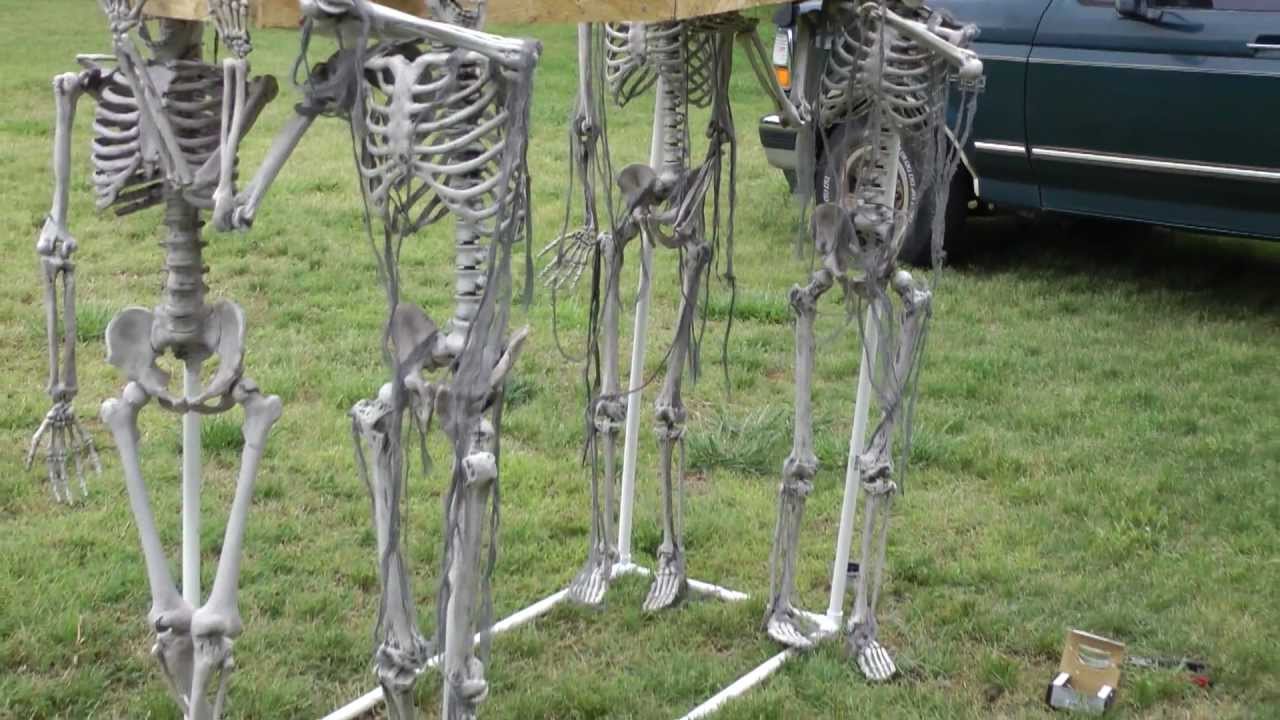 skeletons carry coffin - YouTube