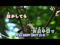 A05-408 津和野川