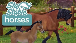 Raising a North Swedish Horse Foal! | Star Stable Horses App screenshot 5