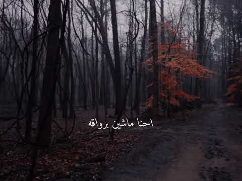 احنا ناس رايقين ياسيدي