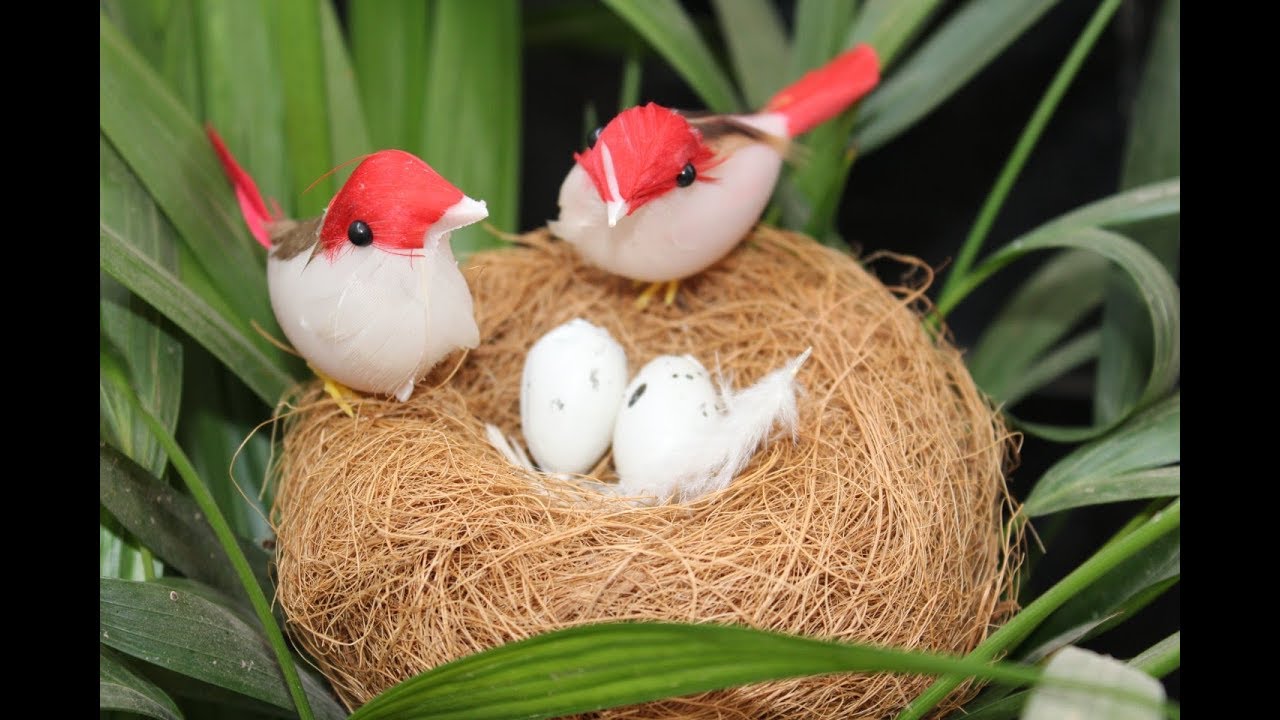 DIY - Birds Nest