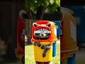 Backyard Parade of Unlikely Performers