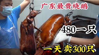 广东最贵烧鹅480一只节假日一天卖14万元CCTV舌尖上中国推荐