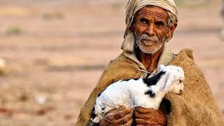 Off the Beaten Track Holiday in Egypt By Locals