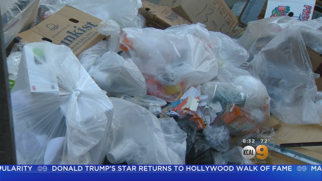 Garbage Piles Up In Maywood As City Feuds With Former Trash Collection
