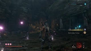 Sekiro: Corrupted Monk Boss Fight