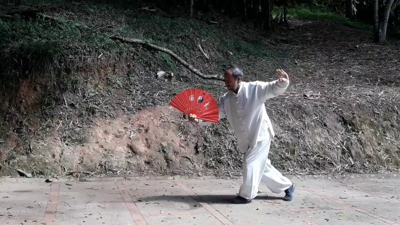 Tai Chi Chuan Kung Fu: TAIJI CON ABANICO-太極帶風扇