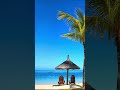 그냥 틀어 놓으세요~  Sunny Nova는 햇살처럼 따뜻하고 감미로운 보사노바 음악이 흐르는 감성 채널입니다. #감성음악 #jazz #보사노바