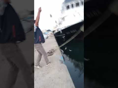 Trabzon Sürmene istavrit