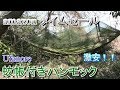 激安！！【蚊帳付きハンモック】買ってみた