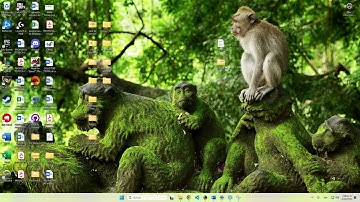 Paquete tidyverse y dplyr
