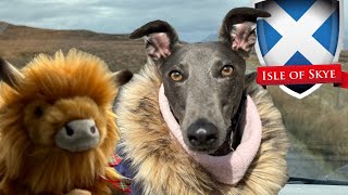 GREYHOUND camps on Isle of Skye…Part 1 The journey to Skye.