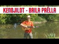 Kendjilot - Baila Paëlla [Espagne - BCVISION 2021]