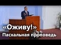 ПАСХАЛЬНАЯ ПРОПОВЕДЬ "ОЖИВУ!" | Рувим Назарчук