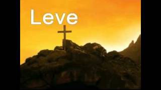 Video thumbnail of "leve"