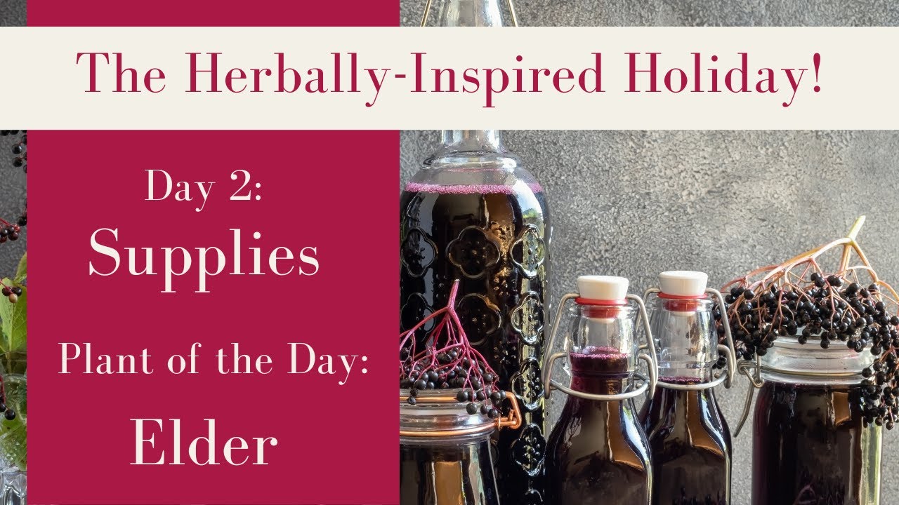 Herbally-Inspired Holiday! | Day 2  | Supplies you need + Elder