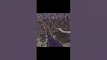 It S All A Dream Wake Up Gorillatag Old Viral Edit 