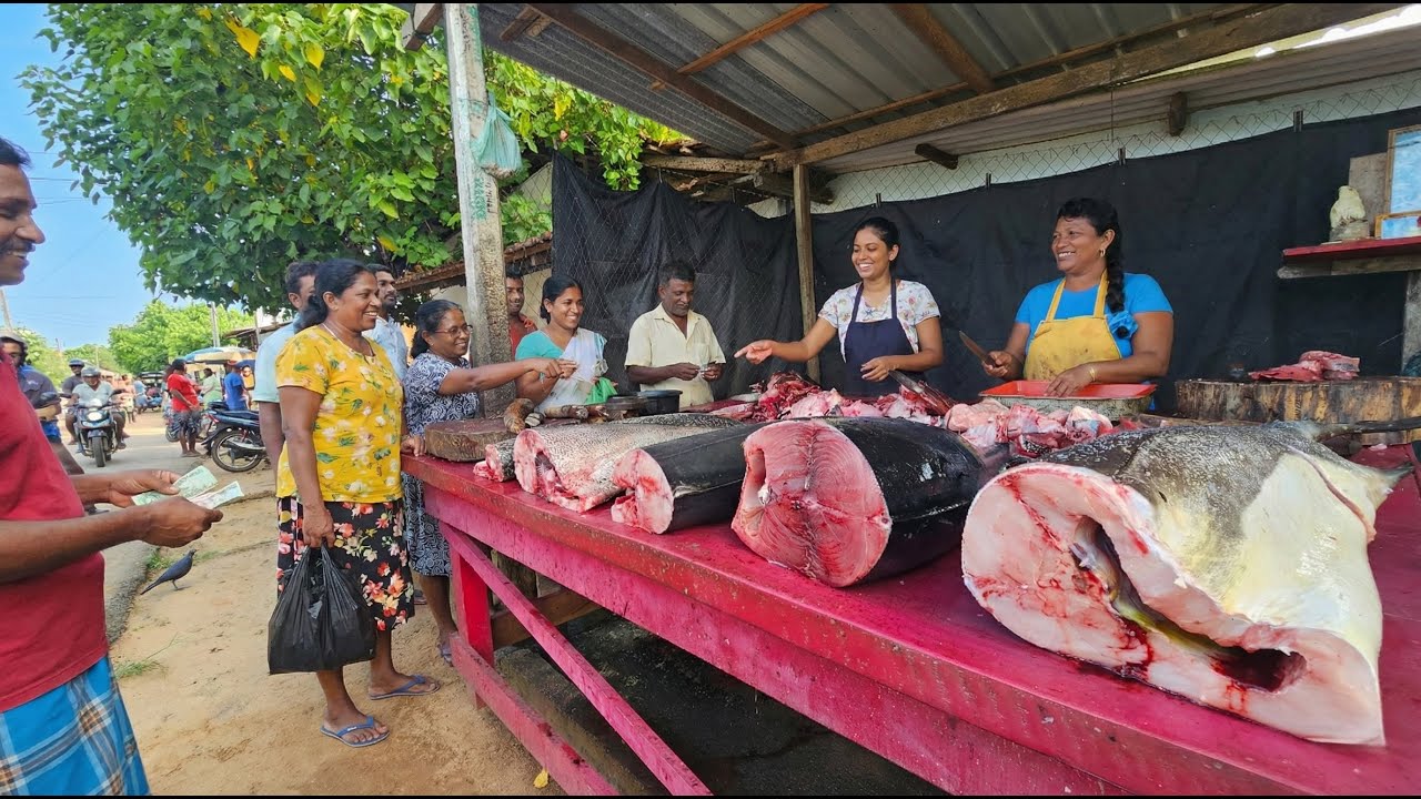 Wow! Sri Lanka Market Rhythms Soundscapes of a Bustling Village Fish Market