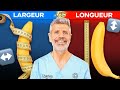 Taille du pnis  largeur vs longueur