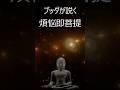 ブッダが説く〜煩悩即菩提〜嫌な自分との向き合う智慧〜