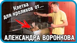 видео: НИКОГДА ТАК НЕ ДЕЛАЙТЕ! Клетка для кроликов от Александра Воронкова картинка: НИКОГДА ТАК НЕ ДЕЛАЙТЕ! Клетка для кроликов от Александра Воронкова