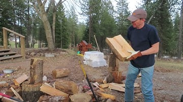 What is killing all the pine trees? Mountain Pine Beetle Larvae.