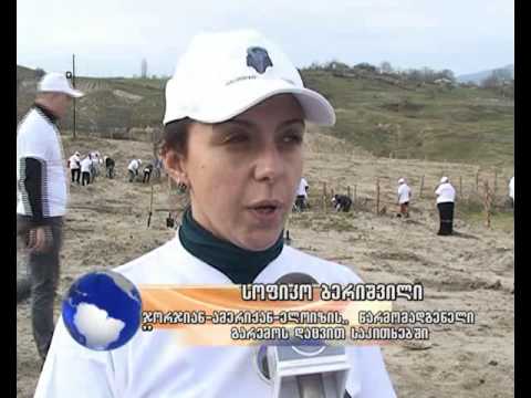 აქცია ჯორჯიან-მანგანეზში