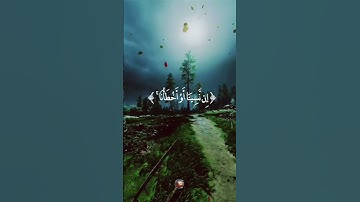 📖 تلاوة مؤثرة من سورة البقرة بصوت القارئ بلال دربالي 🌙#قرآن #نور_القرآن #اكسبلور