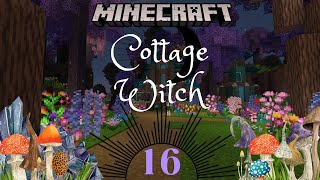 Making a Witch Farm, Minecraft Cottage Witch (Part 16)