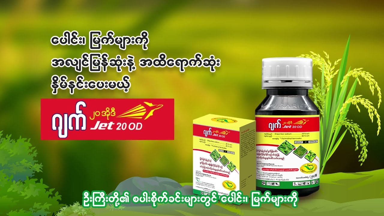 စပါးရွေးချယ်ပေါင်းသတ်ဆေး 