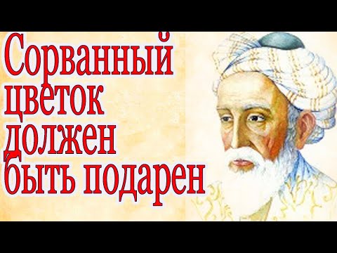 Цитаты. Мудрости жизни Сорванный цветок должен быть подарен. Омар Хайям 💥