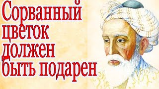 Цитаты. Мудрости жизни Сорванный цветок должен быть подарен.  Омар Хайям 💥