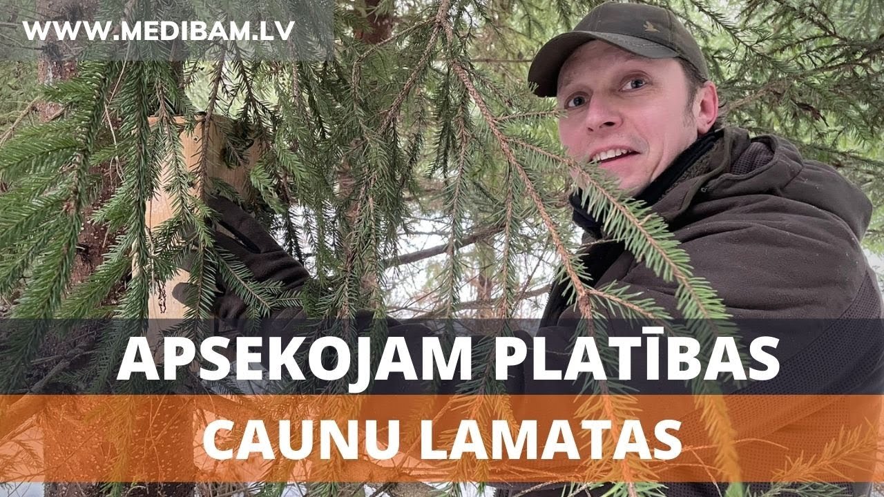 Apsekojam platības. Vai izdevies notvert kādu caunu?