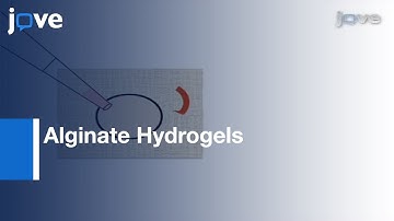 Alginate Hydrogels For 3D Organ Culture Of Ovaries & Oviducts l Protocol Preview
