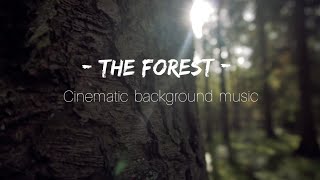 The forest - cinematic orchestral background music (official video 4k)