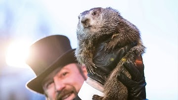 Groundhog Day ft. Punxsutawney Phil (Music Video)