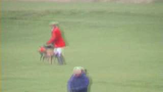 Waterloo cup 2004