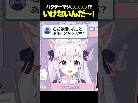 【切り抜き】パクチー未体験の人に気を遣う小花衣【小花衣しぃ】 #vtuber #shorts #切り抜き