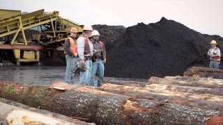 Find Your Path: Procurement Forester